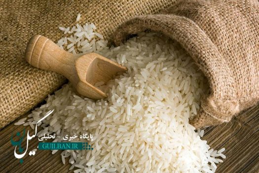 شروع خرید توافقی برنج از شالیکاران شمال کشور