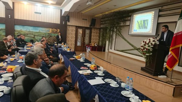 توسعه صنایع سلولزی با کشت درخت بامبو در گیلان