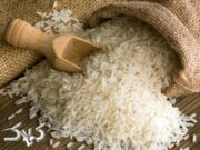 برداشت گران‌ترین برنج گیلان رو به اتمام است