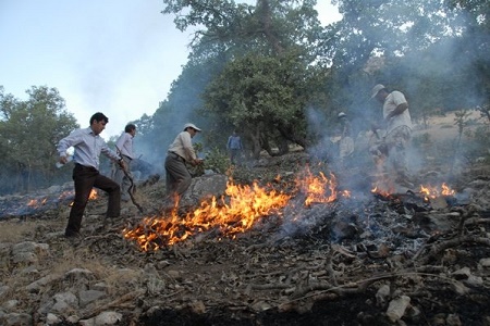 آتش سوزی در 8.5 هکتار از جنگل های گیلان طی دو روز اخیر