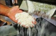 کیفیت برنج داخلی از واسطه‌ها رنج می‌برد