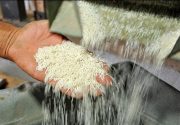 نرخ تبدیل هر کیلوگرم شلتوک به برنج در شالیکوبی‌های گیلان اعلام شد