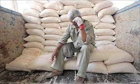 کمبود آرد در گیلان به دلیل گرانی برنج