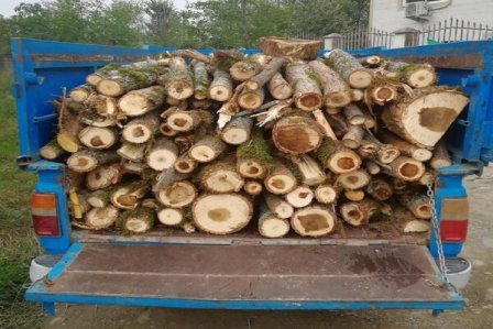 توقیف ۳ خودروی حامل چوب آلات قاچاق جنگلی در فومن