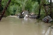 عدم رعایت حریم رودخانه ها؛ عامل آسیب زایی سیل/ لزوم احیای جنگل ها