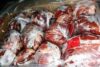 توزیع ۹۰ تن گوشت منجمد در گیلان