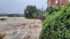 سیل به ۴۰ منزل مسکونی و باغات کیوی تالش خسارت زد